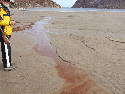 No 5-5_0828 Stains flow.htm